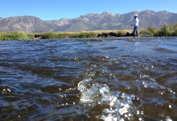 Eastern Sierra Fly Fishing