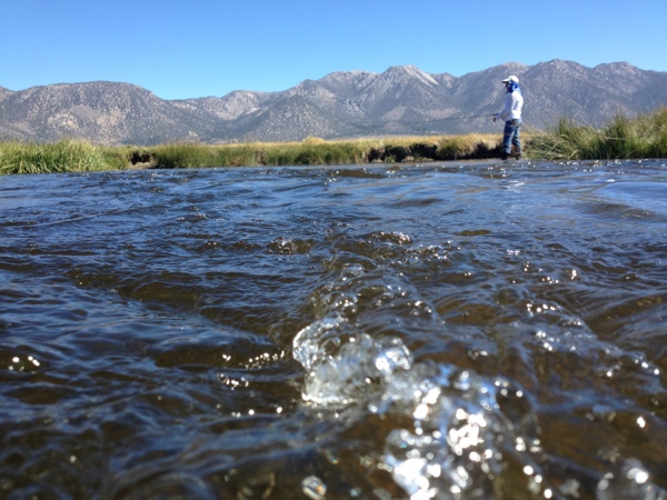 Eastern Sierra Fly Fishing