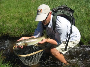 Best Lakes To Fish California