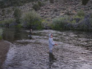 Mammoth Fly Fishing Report