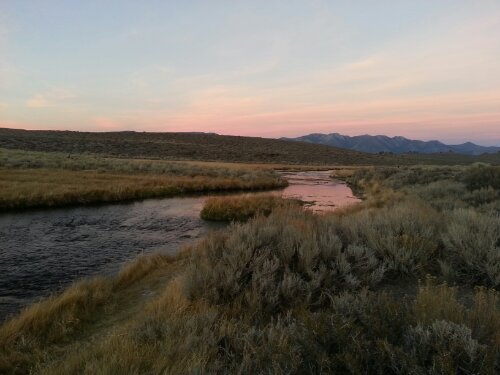 Mammoth Fly Fishing