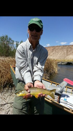 Best Trout Fishing Near Mammoth Lakes