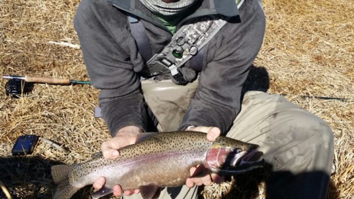 Trout Fishing In Bishop Ca