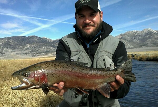 Large rainbow trout held up on the upper Owens River with river in the background and brown November grass on the ground