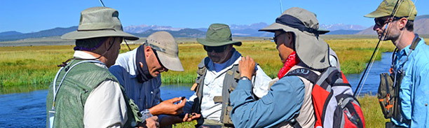 Upper Owens fly fishing class