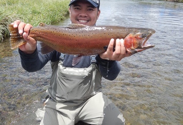 eastern sierra waters we fly fish and guide on