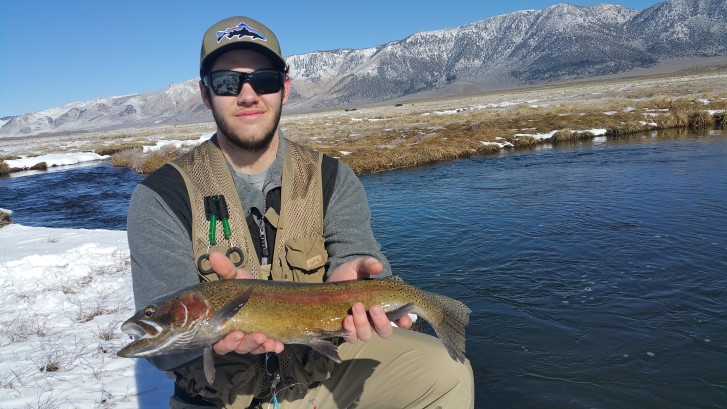 Mammoth lakes fly fishing, Upper owens fly fishing, eastern sierra fly fishing