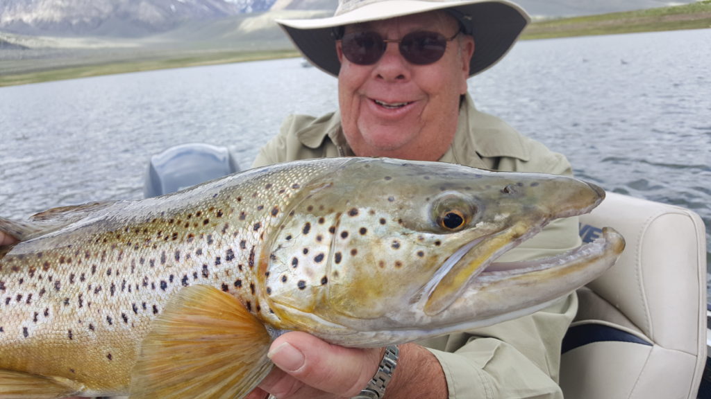 Crowley Lake Fly Fishing guide, Mammoth Lakes Fly Fishing guide, eastern Sierra Fly Shop 