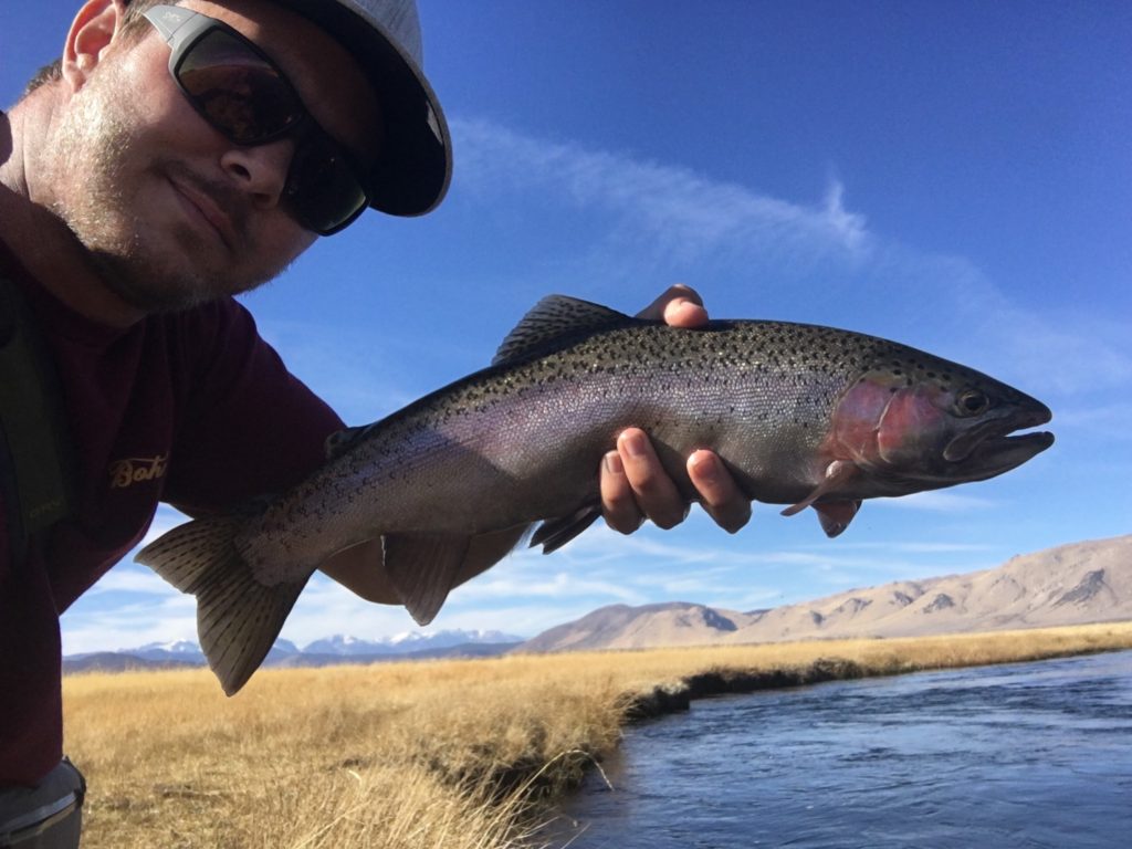 Upper Owens River Fly Fishing, Mammoth Lakes Fly Fishing, eastern Sierra Fly fishing guide 