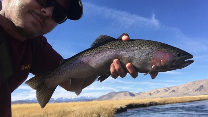 Upper Owens River Fly Fishing, Mammoth Lakes Fly Fishing, eastern Sierra Fly fishing guide