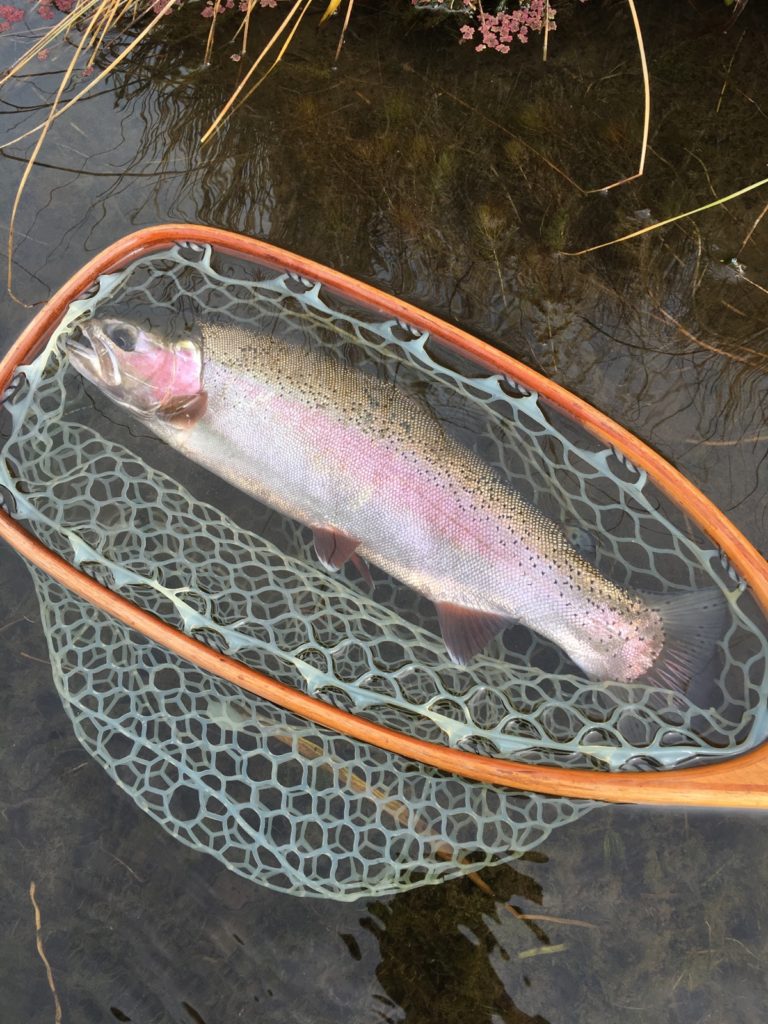 Upper Owens River Fly Fishing, Mammoth Lakes Fly Fishing, eastern Sierra Fly fishing guide 