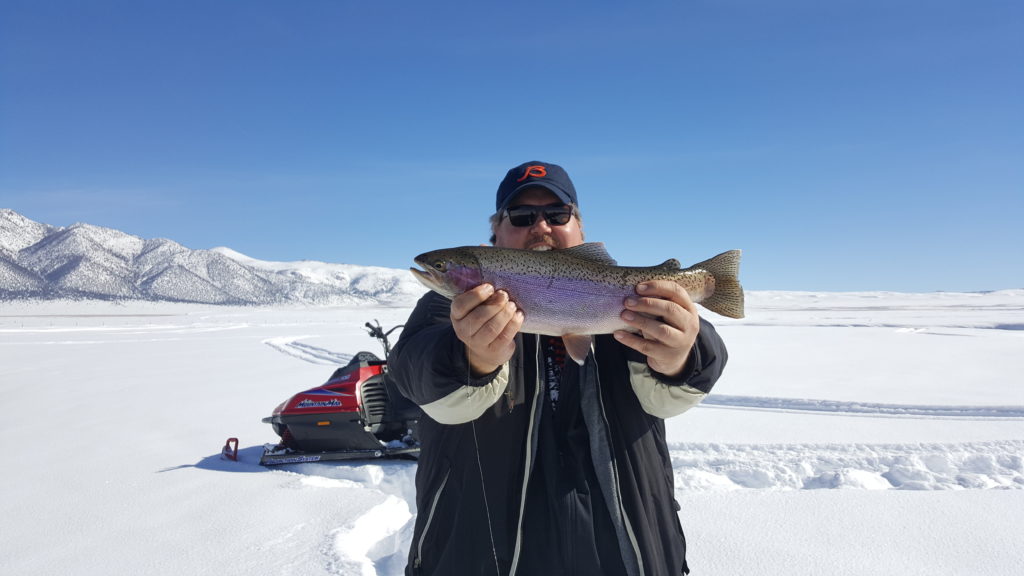 Large Trout landed on the Upper Owens River near Mammoth Lakes CA 