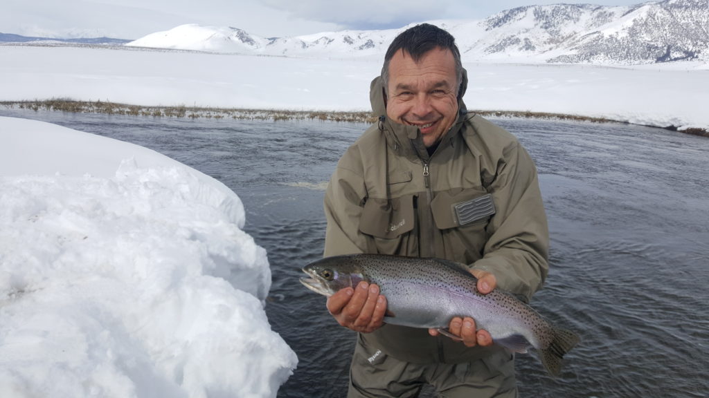 Large Upper Owens River Rainbow Trout 