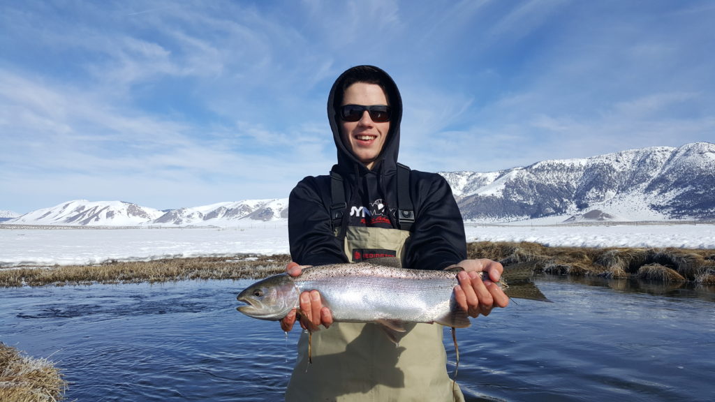 Huge Trout caught while Fly fishing the Upper Owens River 