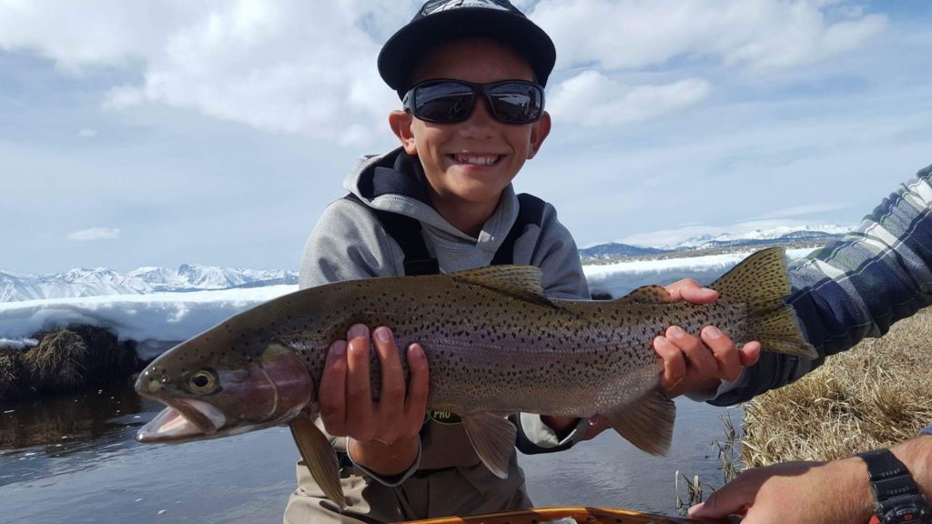 Full finned Upper Owens River Rainbow