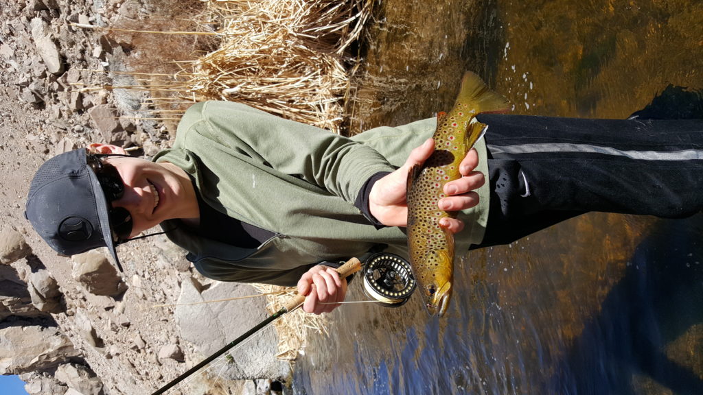 Fly Fishing the gorge near Bishop CA 