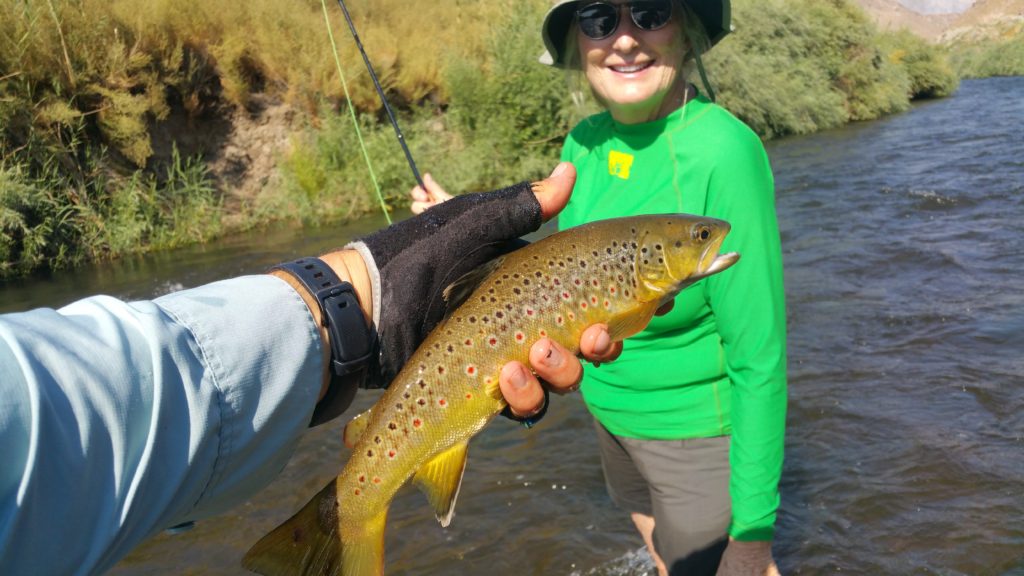 Fly fishing on the Lower Owens River summer 2017