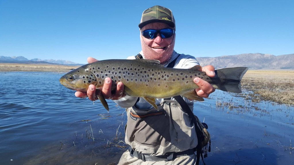 Young man holds up brown trout from dripping Waters of upper Owens