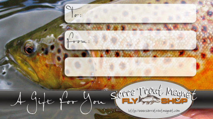 gift certificate for a guided fly fishing trip