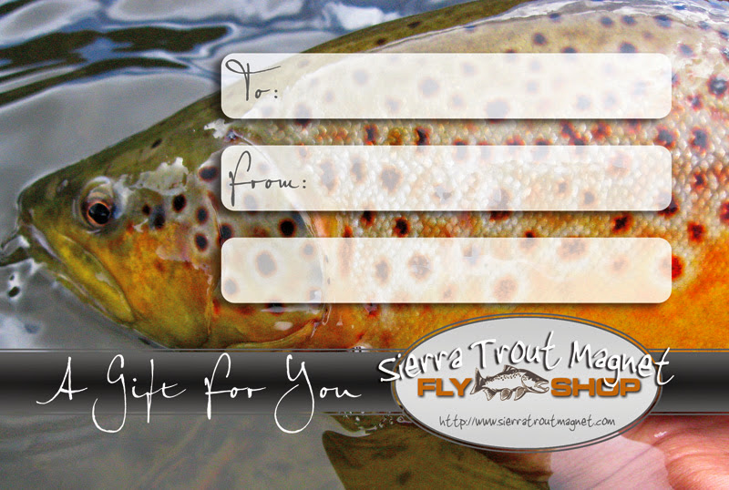 gift certificate for a guided fly fishing trip