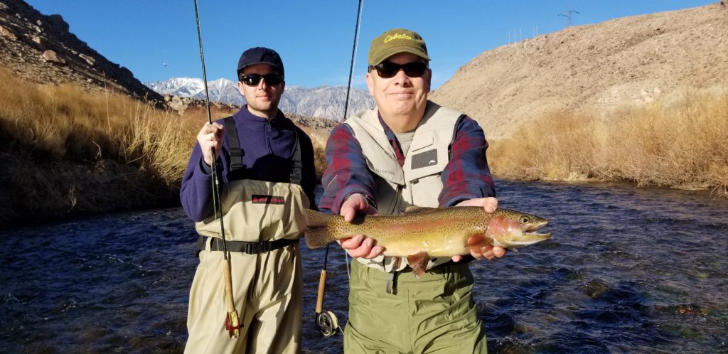 Large trout caught in the desert waters of the Lower Owens River 