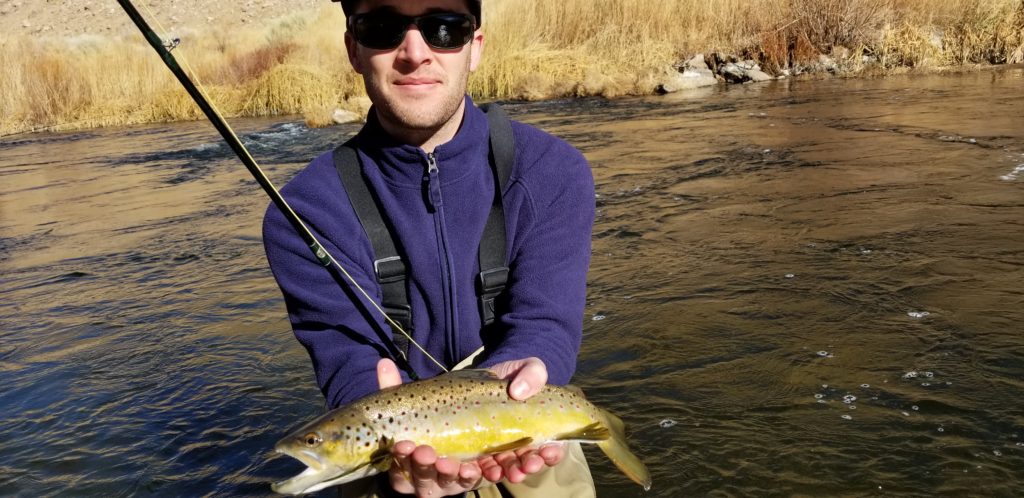 Angler holds up a large Brown trout in the water of the Lower Owens River