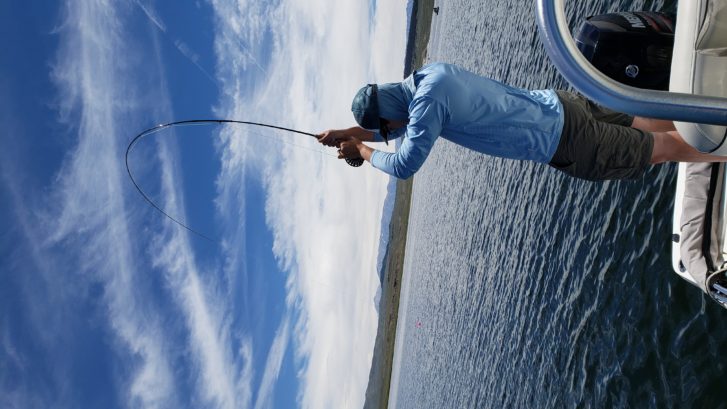Crowley Lake Fly Fishing Report