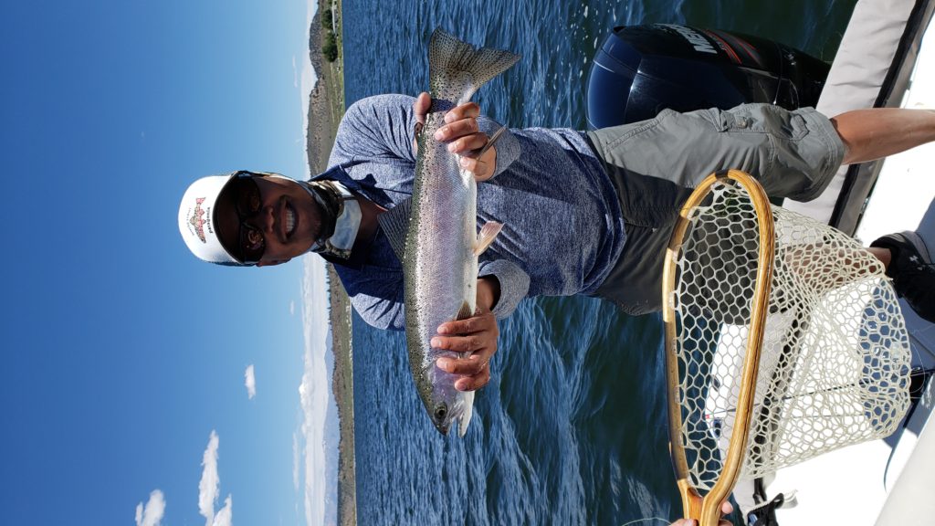 Big rainbow trout raised above the water on Crowley Lake standing over a boat. 