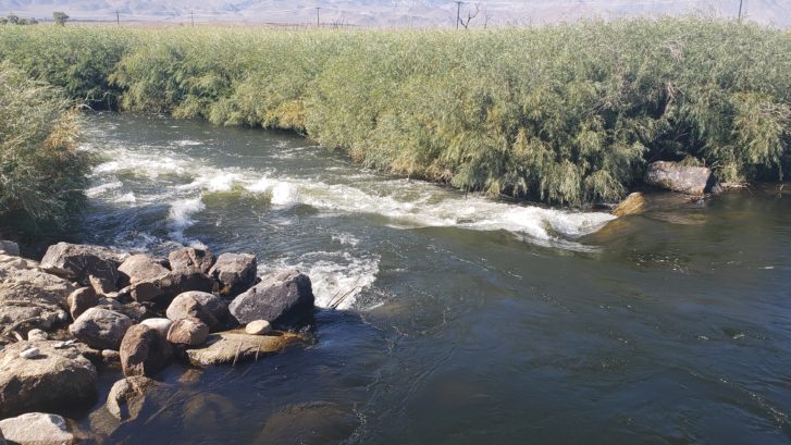 Rushing waters of the Lower Owens October 2019