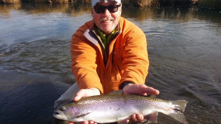 Large Rainbow trout held above the Upper owens River near Mammoth lakes California