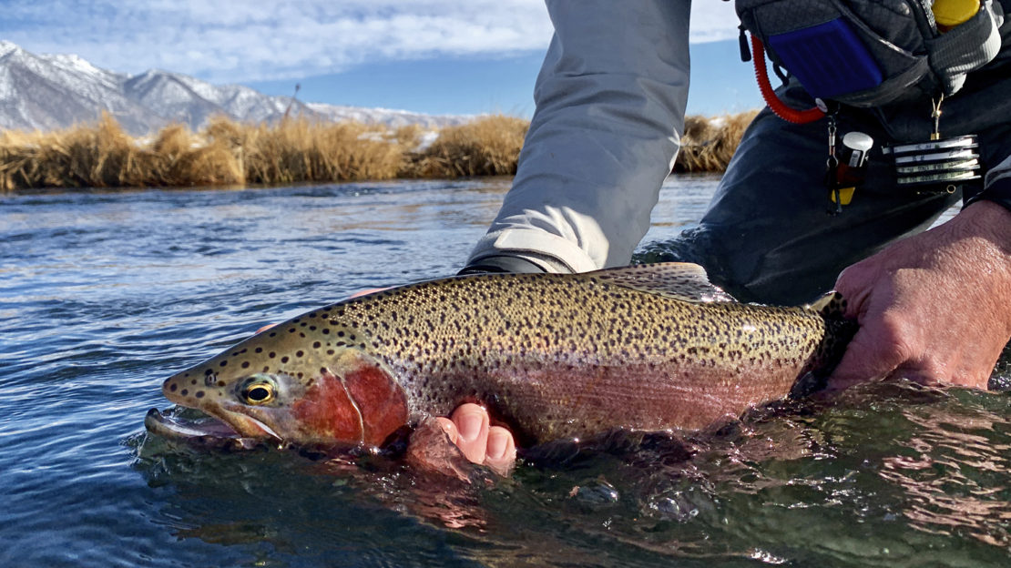 Mammoth Lake Fishing