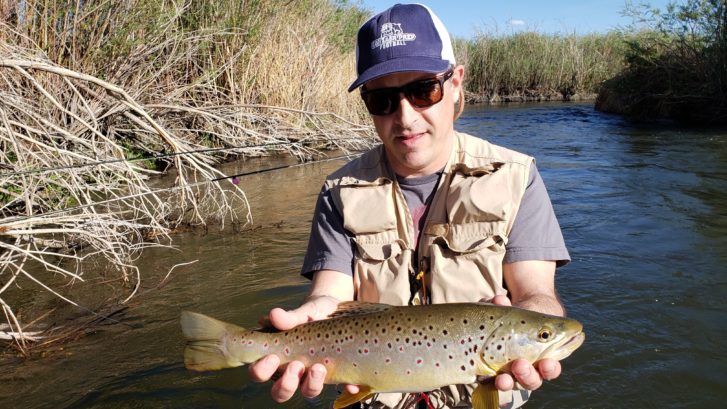 Lower Owens River