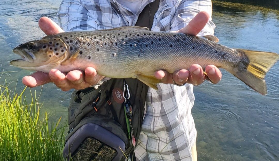 Upper Owens River