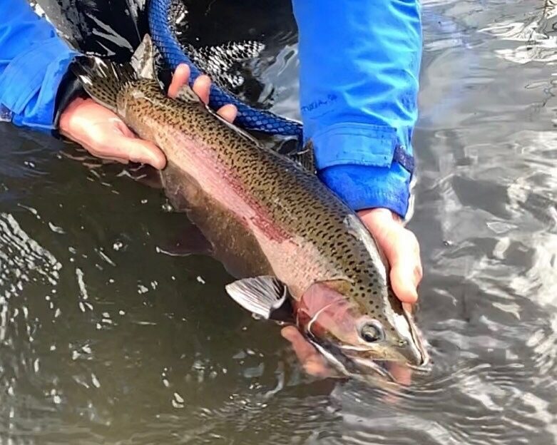 best trout fishing near mammoth lakes