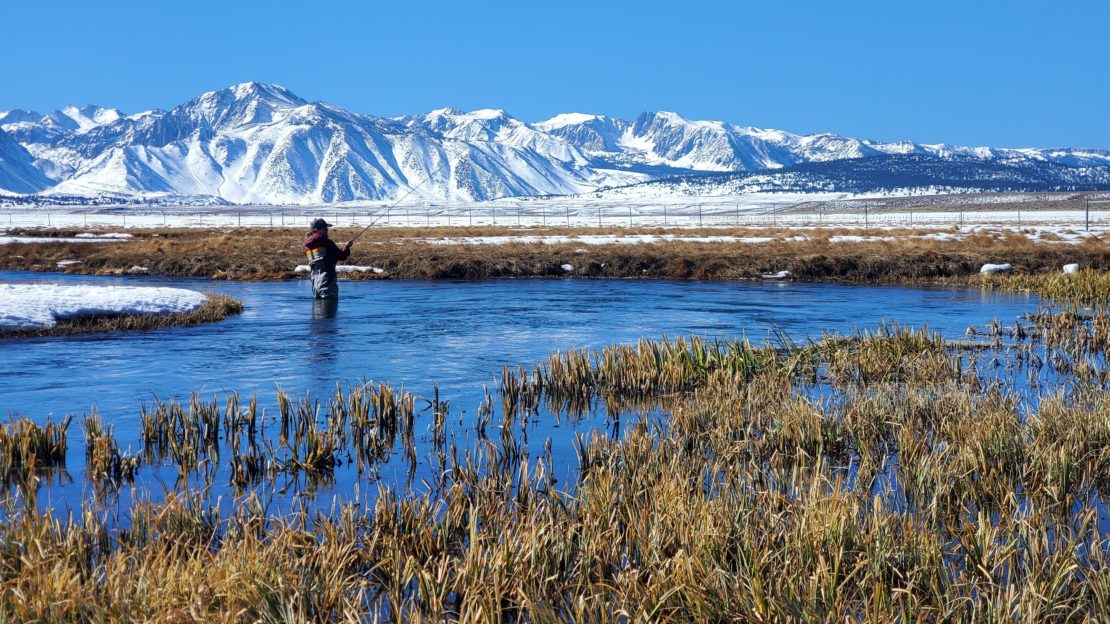 a fly fisherman stands in the Upper Owens River near Mammoth Lakes CA, some snow is around and melting