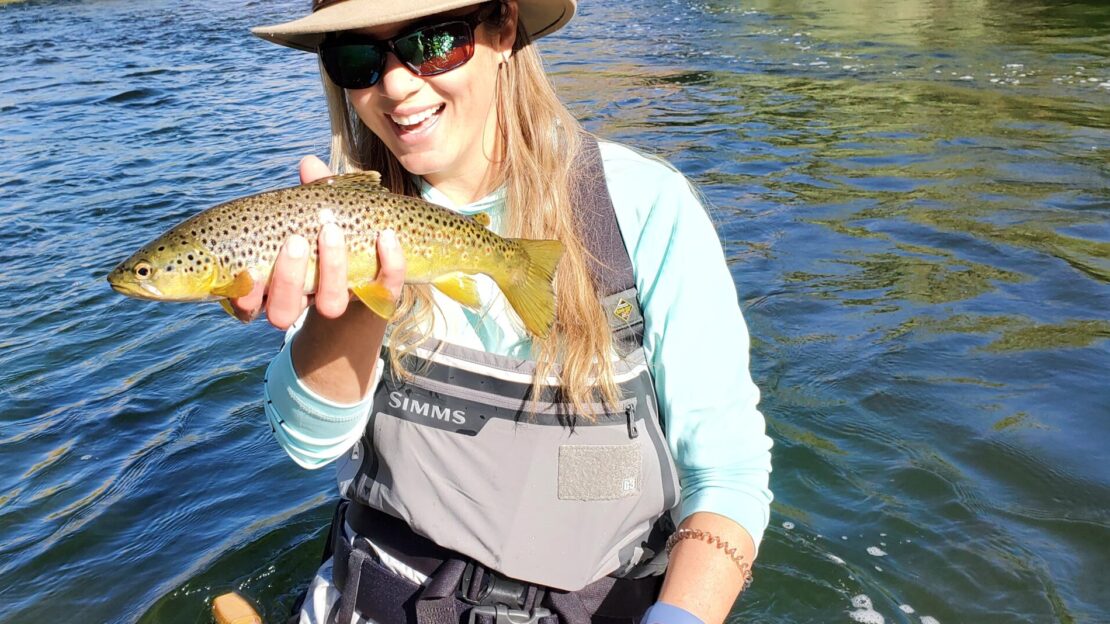 on the lower owens river near bishop california a lady in waders holds a wild brown trout above the river