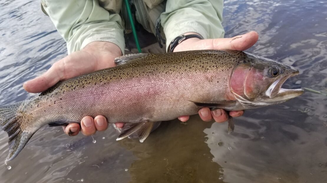 large rainbow held above flowing waters