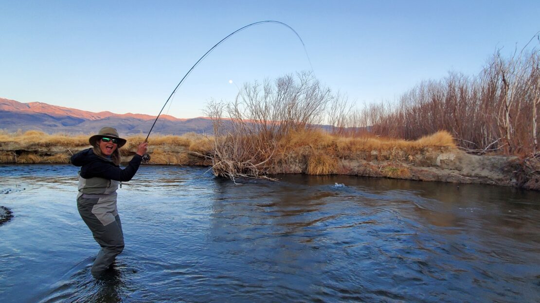 Caddis action on the Dry Fly