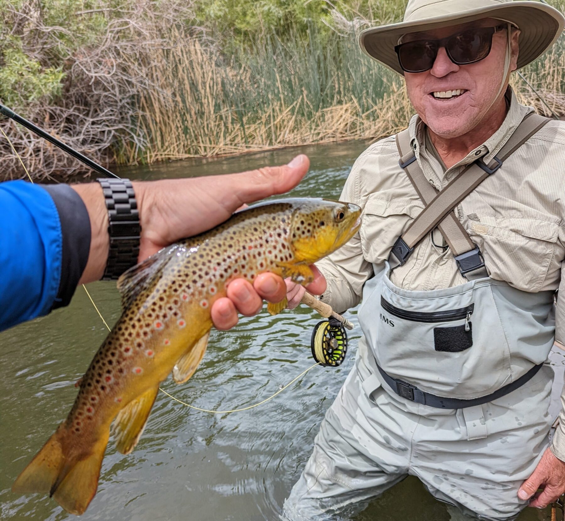 wild brown trout is held up in front of an agler on the Lower Owens River outside of Bishop, CA