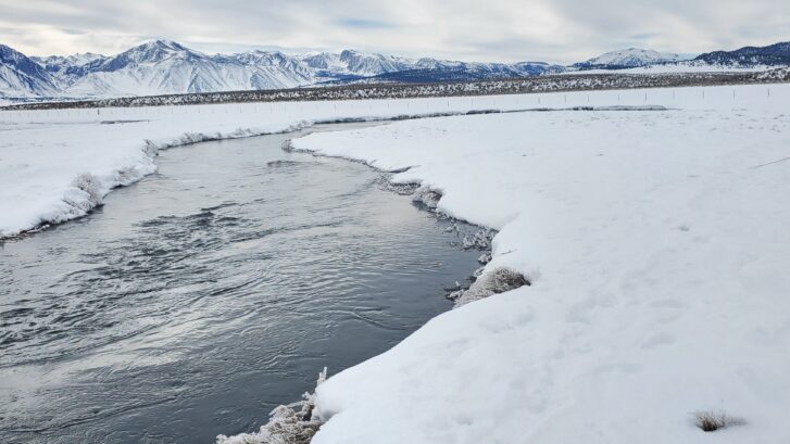 upper owens river below mammoth lakes carves though a snow covered meadow with mountians in the background.