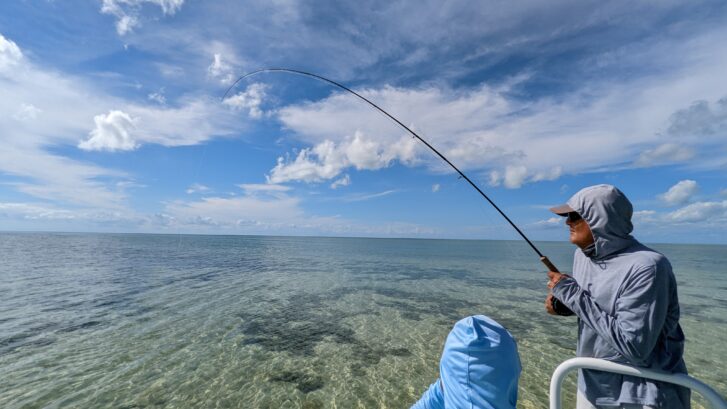 Bishop fly fishing guide