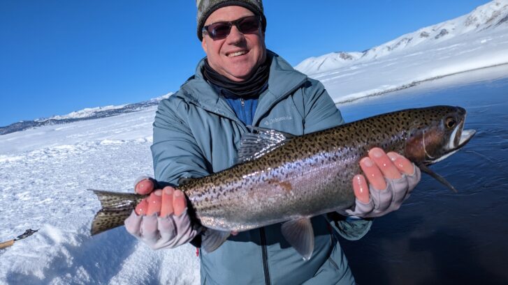 Large Rainbow Trout held over the cold water on a snowy landscape near mammoth lakes california on the upper owens river