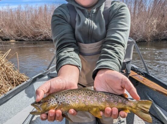 Lower Owens River Fly Fishing Report