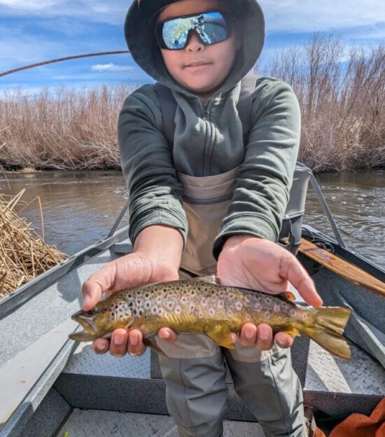 Lower Owens River Fly Fishing Report