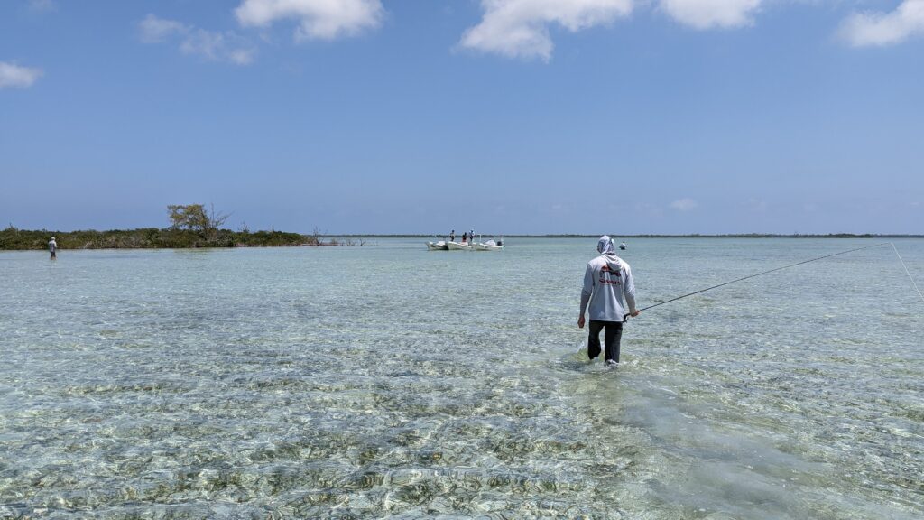 fly angler walking the flats of mexico looking for bonefish and permit