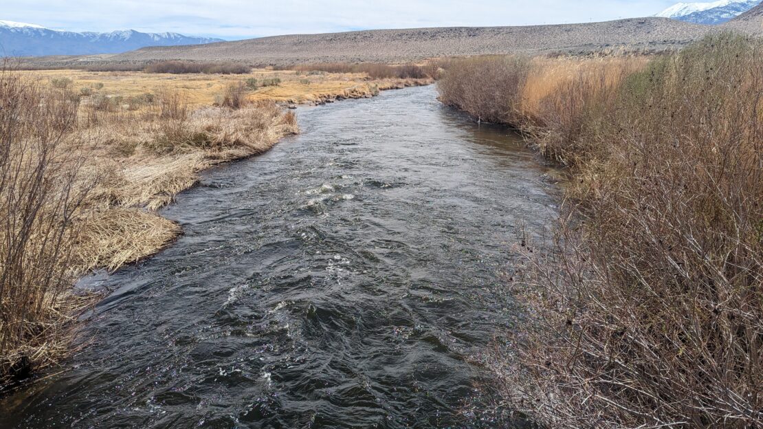 Lower Owens River near Bishop California in runoff phase