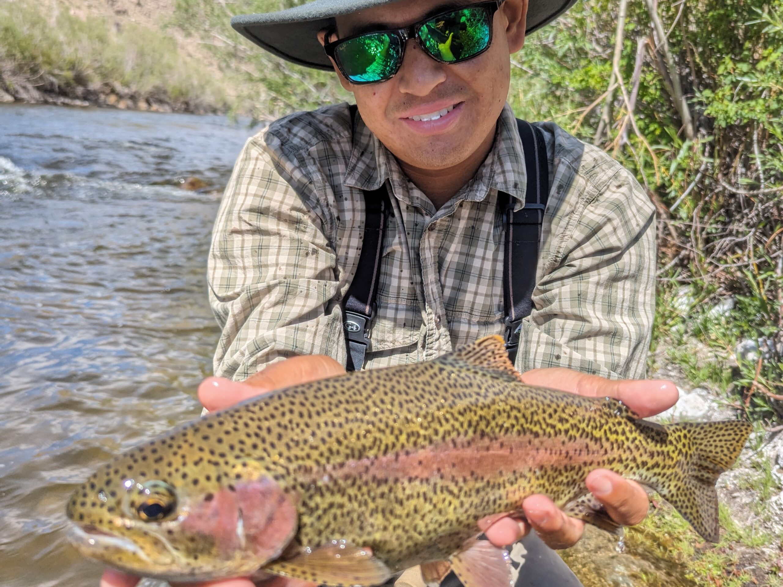 rainbow trout of the lower owens river