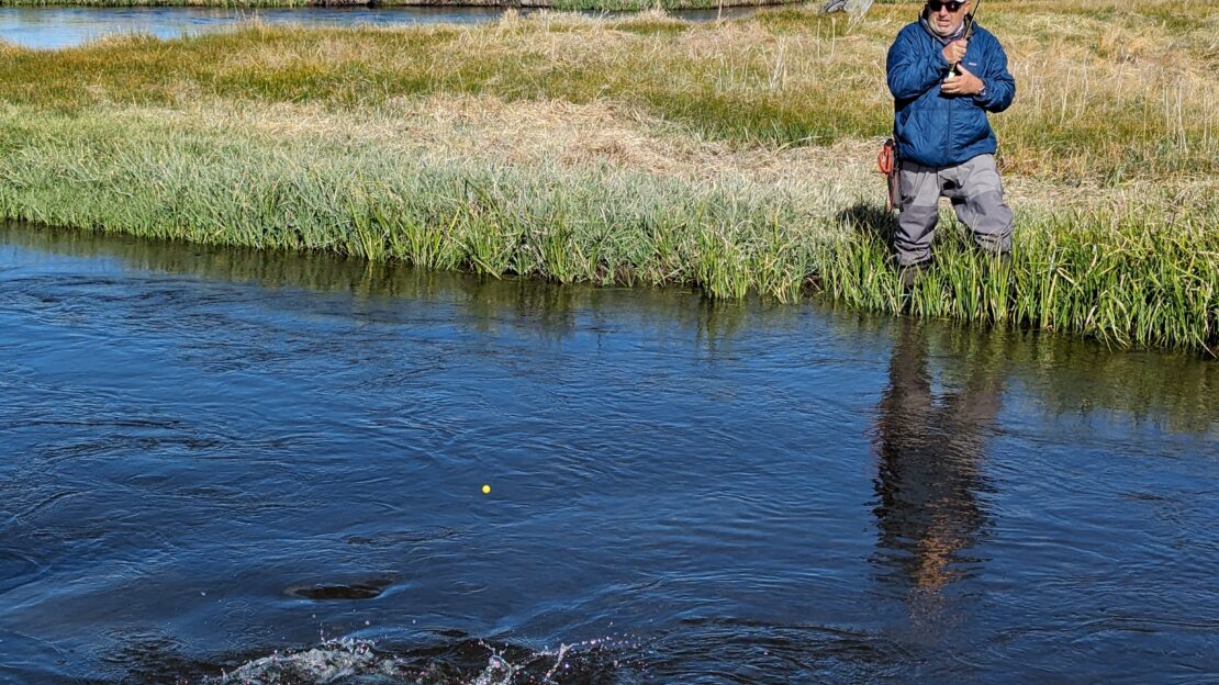 trout hooked near Mammoth lakes CA on the upper Owens river